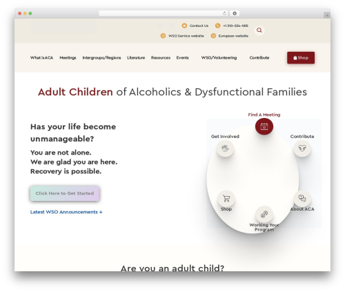 WP theme Divi - adultchildren.org WP theme Divi - adultchildren.org