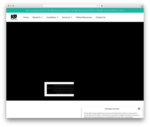 WP theme Hello Elementor - kerlanjobe.org
