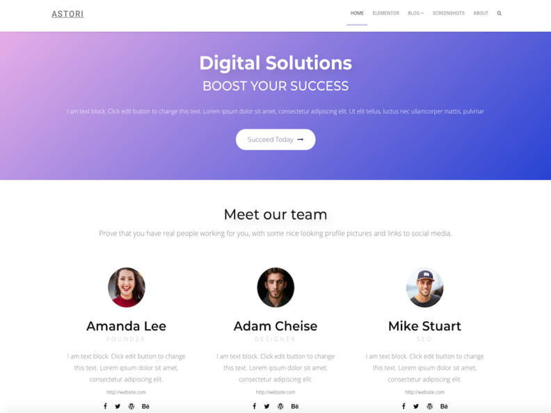 OrionWP Free WordPress Themes Download